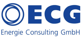 ECG: Bis Jahresende geeichte Stromzähler einbauen