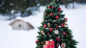 Das Team von BayPapier wünscht frohe Weihnachten 