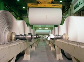 IW Consult: Papier spielt für Wirtschaft und Gesellschaft eine große Rolle